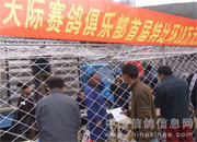 ��������ʾ��ֲ�500������ʵ(ͼ)