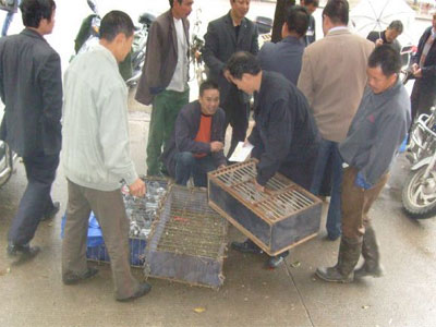 ����Ÿ�Э��600KM�����ֳ�