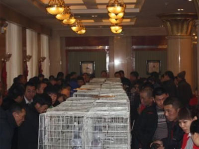 ���ؼ��������´������������ֳ�����