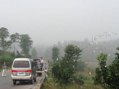 �����潭��ͷ08����ѵʯ��վ