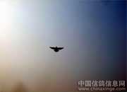 ���ź���ѵ����(ͼ)