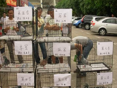 08�������ڡ������䡱���佱�����ֳ�(ͼ)