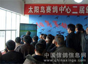 ���ϳ���̫�����������ʵ(ͼ)