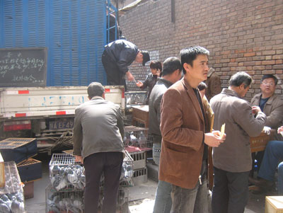 ������·��Э������һ��500km����ʵ��