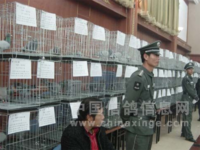 �����ǹ������ｱ��������ͼ¼