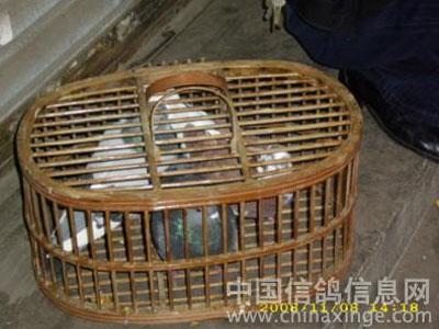 ����ʡ��������700�������������ֳ�(ͼ)