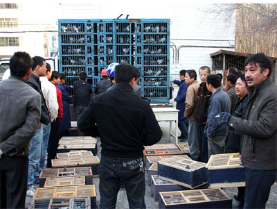 �½�ʯ���Ӹ�Э30����ѵ�ż��볡��