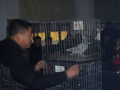 ������·��Э08���＾�佱������