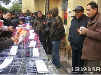 �𱬵���̶����������ʥ�ء�