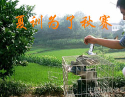 ��ѵΪ��������ͼ��