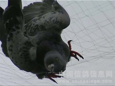 ��ʹ�ڿ���(ͼ)