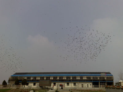 ���ݰ��ǿ������빫��ҷɼ�ʵ