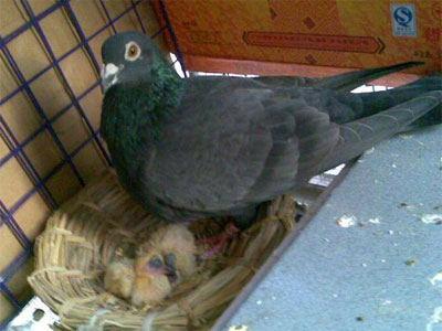 һ��һ�εĳɳ�