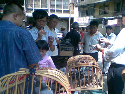 �����������ǻ����г�(ͼ)