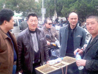 09���һ������֮ȫ��¼(ͼ)