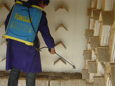 �������蹫��Ϊ��������������������