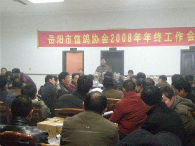 08���������Ÿ�Э�����չ�����