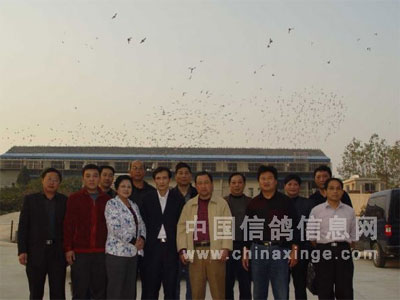 �����и�Э�ٿ������ר�����