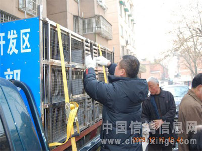 �Ͼ��󳧾��ֲ�500���Ｏ���ֳ�(ͼ)