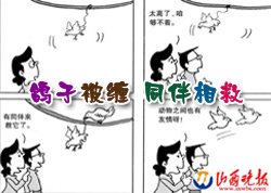 ���ӱ�����ͬ�����(ͼ) 