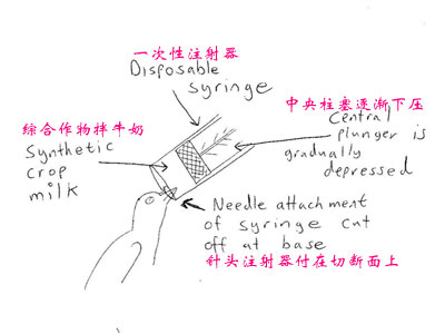 �˹���������ι��