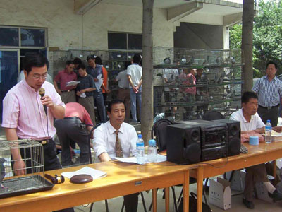 ֣����ԭ�������������