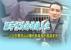 ��Ƶר�����Ϻ��׹�������Ԩ