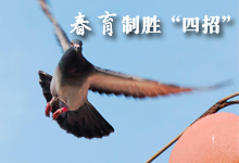 春育制胜“四招”