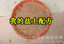 自制盐土全过程(图)