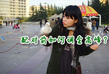 种鸽配对前如何调至高峰