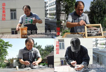 腺病毒的防与治(图解)