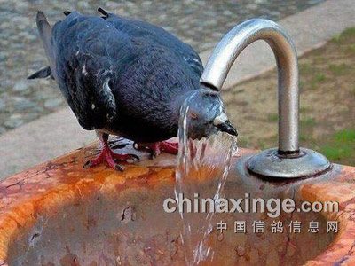 Ц������������΢��(��)