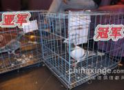 ���繫�������᣺�ھ�18���Ļ�(ͼ)