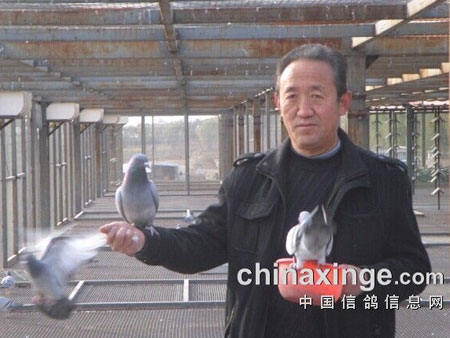 �������������ѩ�� û�취(ͼ)