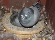 ���޿纣������9�������9��