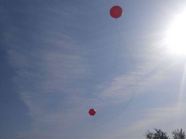 ����Ī����ʧ��������רҵ��һ�겶����ֻ