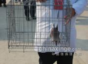 ������̩��������2��ٹ���(ͼ)