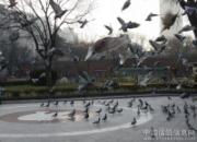 Ů���ѣ���̯��ʱ�ͶԸ�˽��