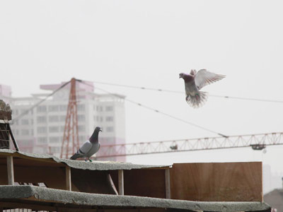 ʵս���飺���Ӯ���ٶ�����