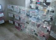 �����ı���