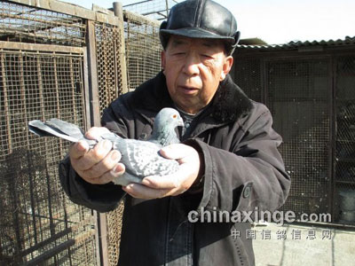 郑州李学钦老师告“国血”爱好者书