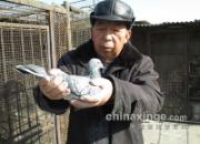 ֣����ѧ����ʦ�桰��Ѫ����������