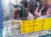 2014�ȷ���չ��������(ͼ)