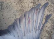 ����ֻ��һ�� �˸�����Ӯ47λ