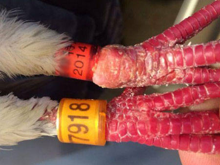 �������ȡ�δ�ؾ����ƻ�����(ͼ)