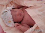 �˸���ϲ�ã���������������(ͼ)