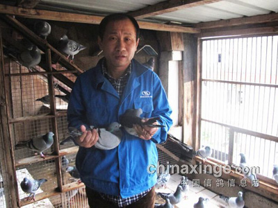 ר�ã��Ϻ����׸��رȻ�A�鼾���˾�(ͼ)