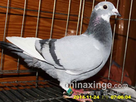 �ӹ����ؼ�(ͼ)