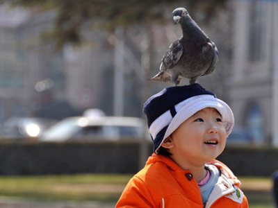 Ц������������΢��(��)