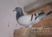 ��һ���ҵõ���ʧȥ�ĸ���(ͼ)